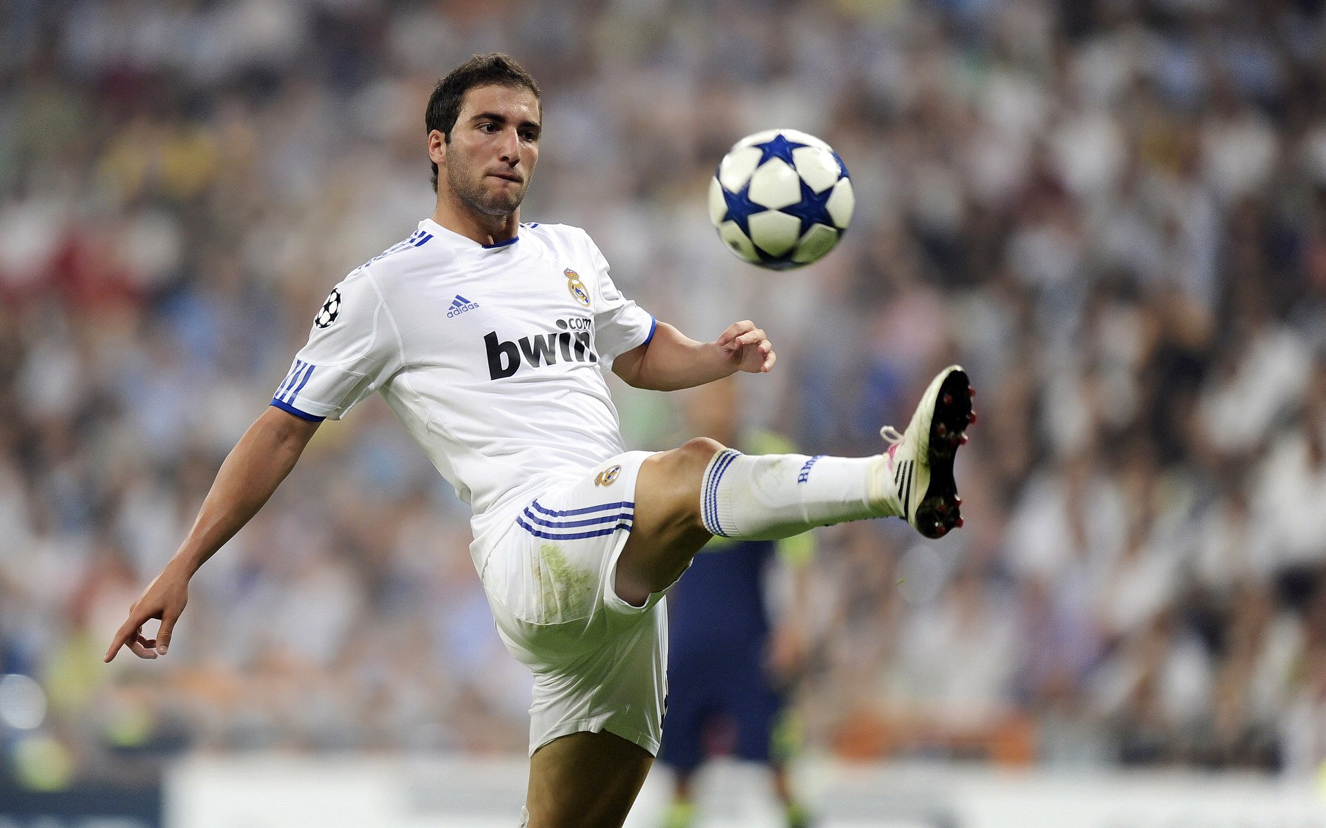 法国橄榄球发展进入黄金时代,青训体系贡献巨大,法国橄榄球厉害吗